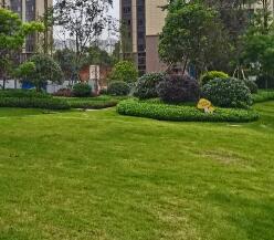 園林綠化工程需要什么資質承包